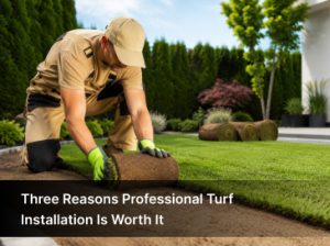 professional turf services​